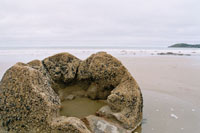 Moeraki Boulders